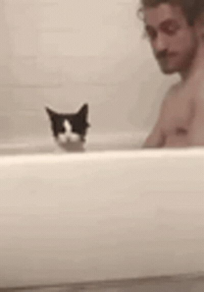 Black And White Cat In Bathtub GIF