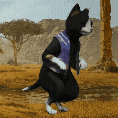 Black And White Cat In Blue Vest GIF