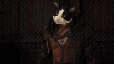 Black And White Cat In Brown Jacket And Black Cape GIF