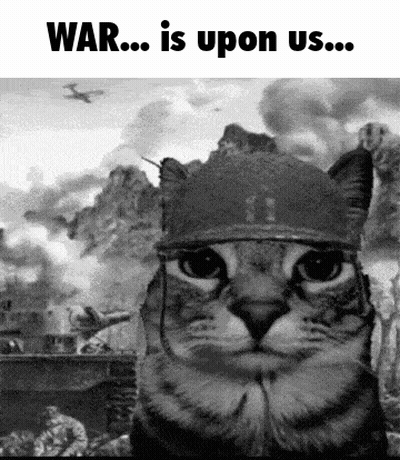 Black And White Cat In Helmet War Is Upon Us GIF