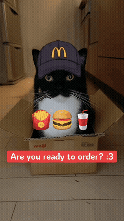 Black And White Cat In McDonald's Hat In Cardboard Box GIF