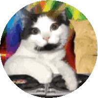 Black And White Cat In Rainbow Circle Sticker
