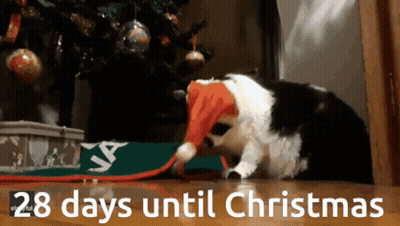 Black And White Cat In Santa Hat 28 Days Until Christmas GIF