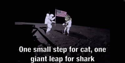 Black And White Cat In Space Suit One Small Step For Cat One Giant Leap For Shark GIF