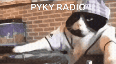 Black And White Cat In Sunglasses And Hat Saying Pyky Radio GIF