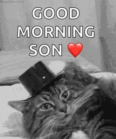 Black And White Cat In Top Hat Saying Good Morning Son GIF