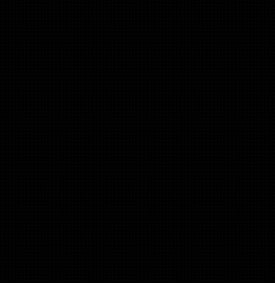 Black And White Cat La Pp Whatsapp De Nousoh GIF