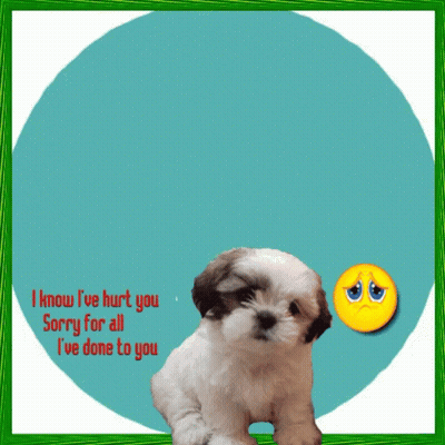 Black And White Cat Laying Beside Dog With Word Collective GIF