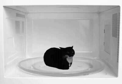 Black And White Cat Laying In Microwave Oven GIF