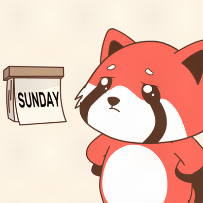Black And White Cat Laying Next To Trash Can And Coffee GIF