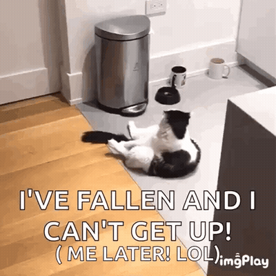 Black And White Cat Laying Next To Trash Can And Coffee GIF