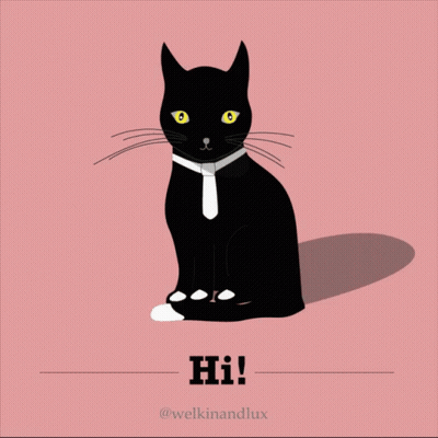 Black And White Cat Laying On Bed Saying Lazy Day GIF