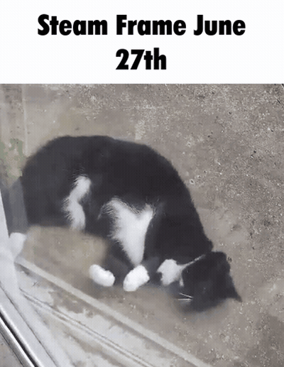 Black And White Cat Laying On Ground Steam Frame June 27Th GIF