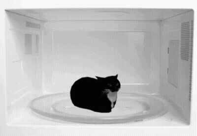 Black And White Cat Laying On Plate In Microwave GIF