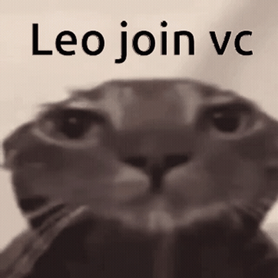 Black And White Cat Leo Join VC GIF