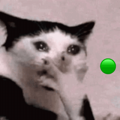 Black and White Cat Looking at Green Circle