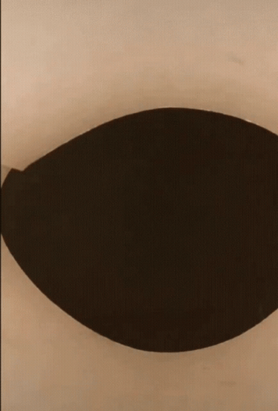 Black And White Cat Looking Out Of Hole GIF
