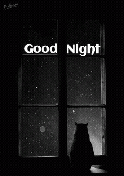 Black And White Cat Looking Out Window Saying Good Night GIF