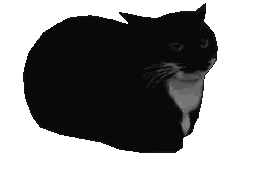 Black And White Cat Lying Down Sticker
