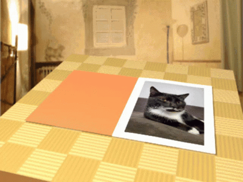 Black And White Cat Lying On Couch GIF