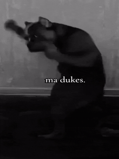 Black And White Cat Ma Dukes GIF