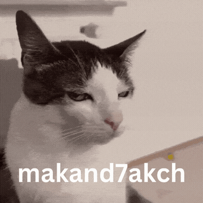 Black And White Cat Makand7akch GIF