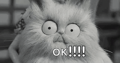Black And White Cat Making Funny Face Saying Ok GIF