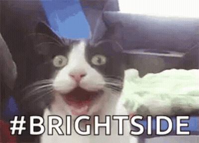 Black And White Cat Making Funny Face With # Brightside GIF