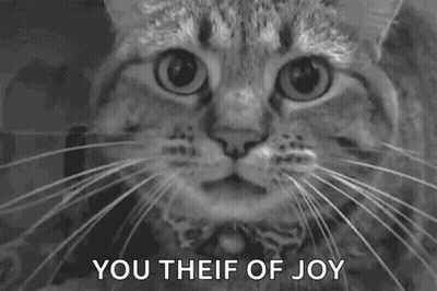 Black And White Cat Mouth Open You Theif Of Joy GIF