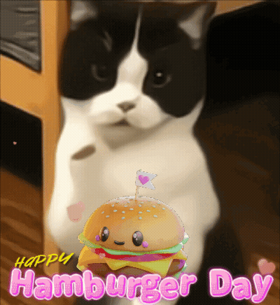 Black And White Cat Next To Happy Hamburger GIF