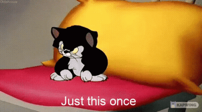Black And White Cat On Red Blanket Next To Yellow Pillow Just This Once GIF