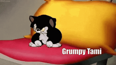 Black And White Cat On Red Pillow Saying Grumpy Tami GIF
