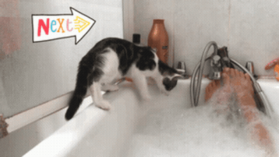 Black And White Cat Playing In Bathtub With Arrow GIF