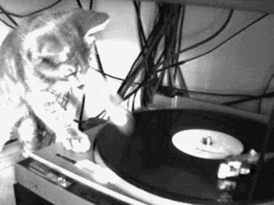 Black and White Cat Playing Record Player