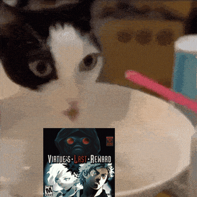Black And White Cat Playing Virtue Last Reward GIF