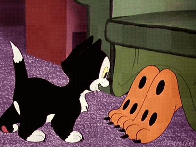 Black And White Cat Playing With Orange Paws GIF