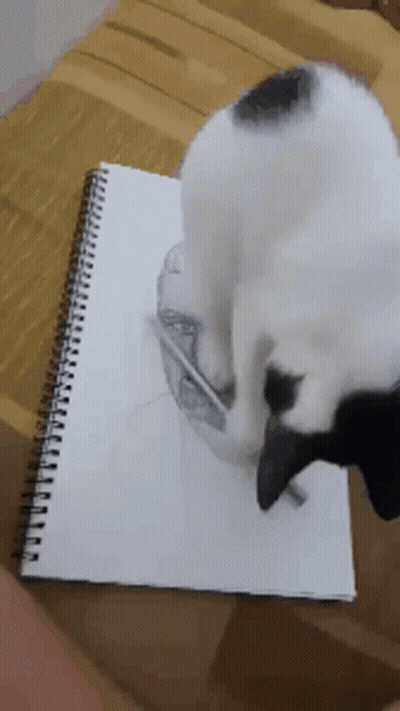 Black And White Cat Playing With Pencil On Notebook GIF