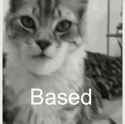 Black And White Cat Saying Based GIF