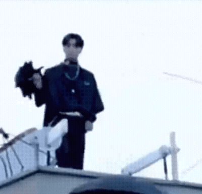 Black And White Cat Saying Cat Fucking Violates The Laws Of Physics GIF