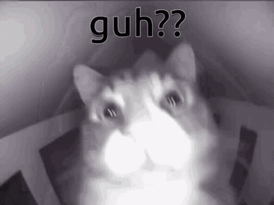 Black and White Cat Saying Guh
