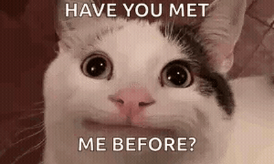 Black And White Cat Saying Have You Met Me Before GIF