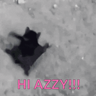 Black And White Cat Saying Hi Azzy In Pink GIF