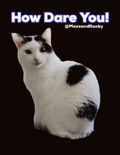 Black And White Cat Saying How Dare You GIF