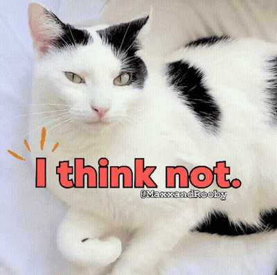 Black And White Cat Saying I Think Not GIF