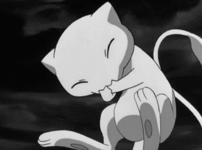 Black And White Cat Scratching GIF