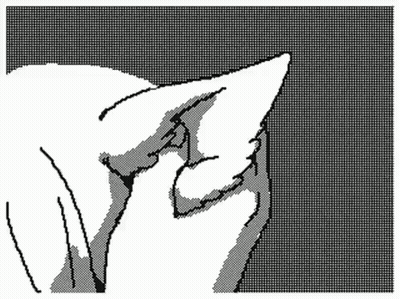 Black And White Cat Scratching Head GIF