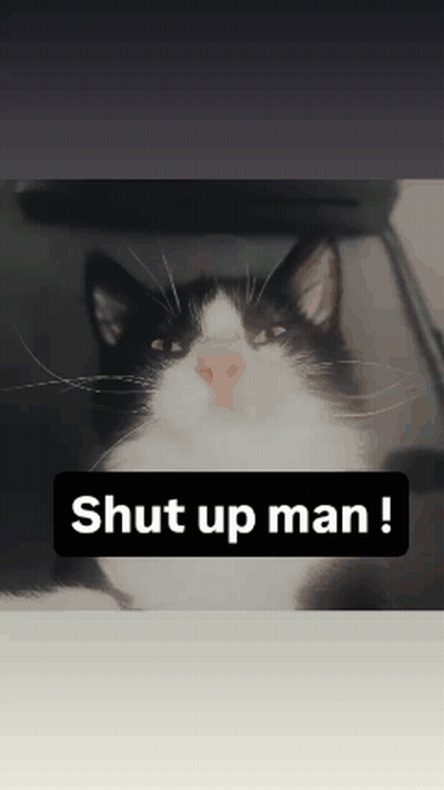 Black And White Cat Shut Up Man GIF