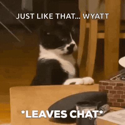 Black And White Cat Sitting GIF
