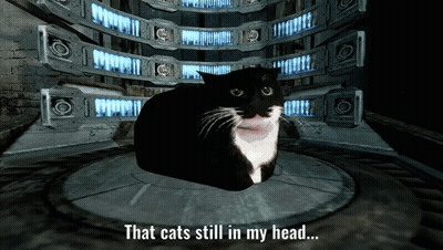 Black And White Cat Sitting In Dark Room Saying That Cat's Still In My Head GIF