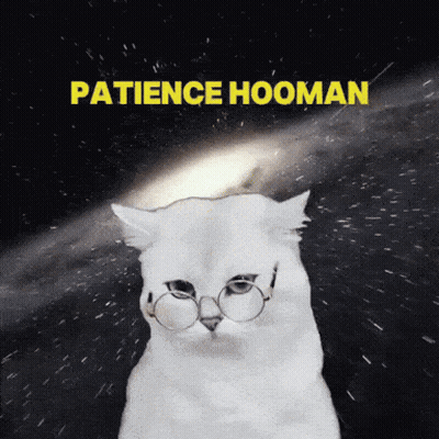 Black And White Cat Sitting In Driver Seat Looking Out Window GIF